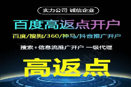 案例研究：百度推广托管助力电商品牌快速崛起